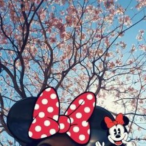 Meet your Posher, Monica